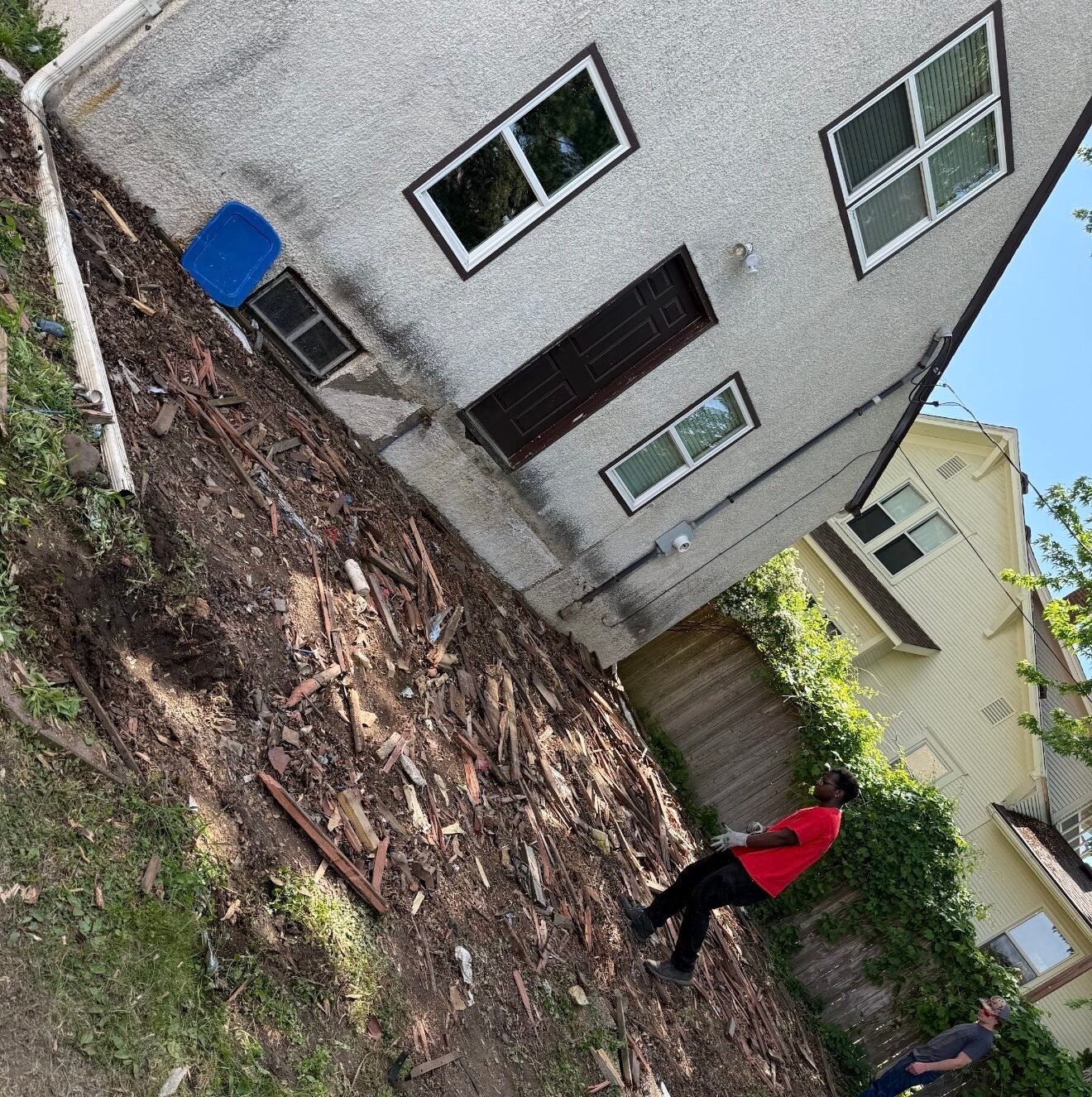 Professional Tree Removal
